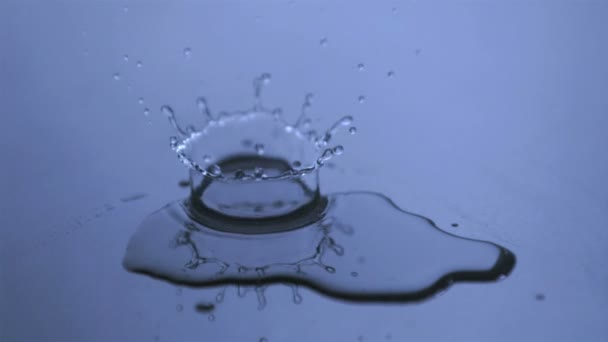 Clear drop of water in super slow motion falling — Stock Video