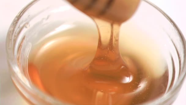 Honey in a bowl in super slow motion — Stock Video