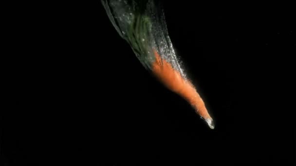 Морковь в супер медленном движении падает — стоковое видео