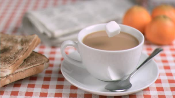 Sugar cube plongée au ralenti — Video