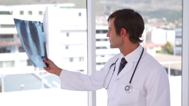 Doctor mirando una radiografía de tórax — Vídeos de Stock