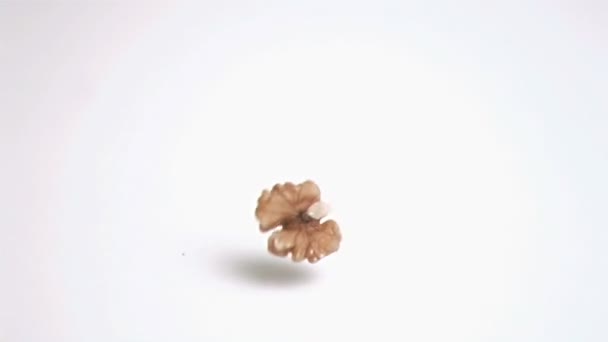 Walnoot kernel vallen in super slow motion — Stockvideo