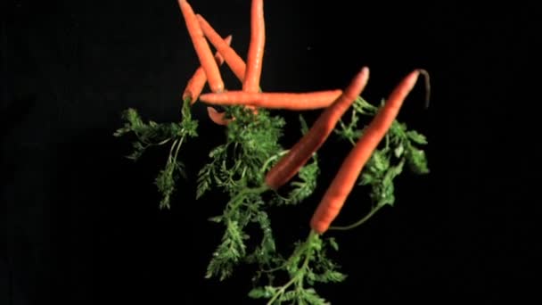 Viele Karotten in Superzeitlupe — Stockvideo