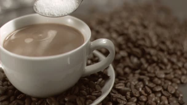 Spoon pouring sugar in super slow motion — Stock Video