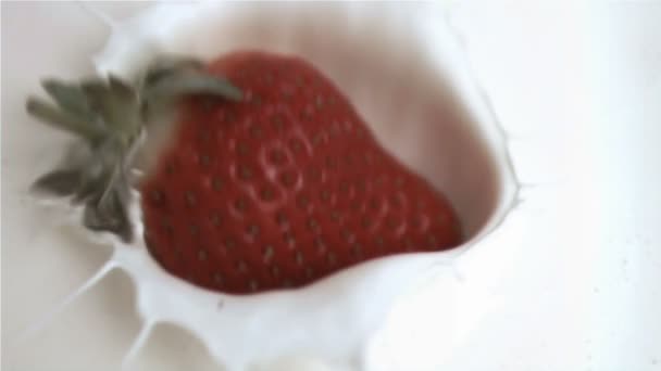 Strawberry faller i super slow motion — Stockvideo
