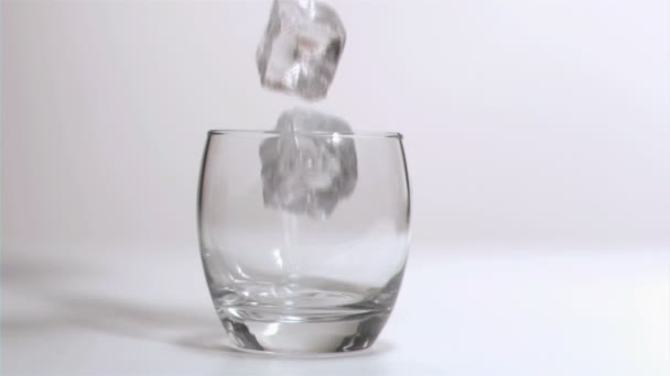 Ледяные кубики падают в очень медленном движении в стакане — стоковое видео