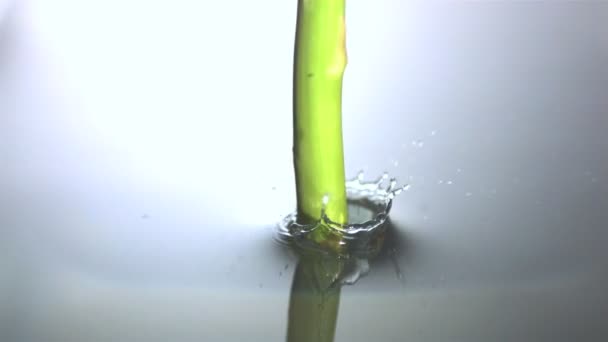 Aspargus dropping in water — Stock Video