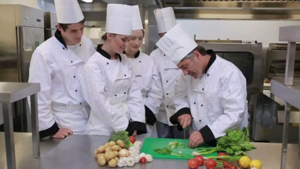 Chefe de cozinha está ensinando como cortar legumes — Vídeo de Stock