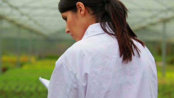 Vrouw lopen door de broeikasgassen houden een Klembord — Stockvideo
