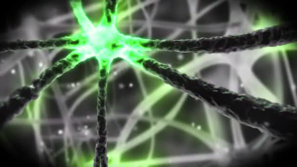 Neuron moving through nervous system — Stock Video