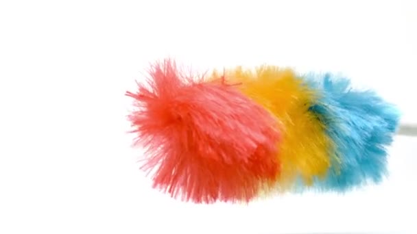 Feather duster shaking — Stock Video