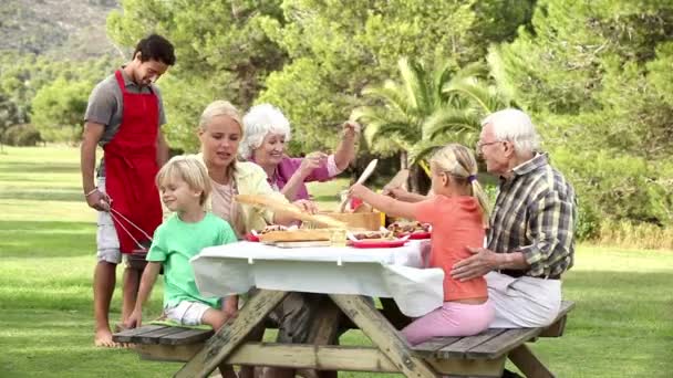 Три поколения семьи устраивают пикник — стоковое видео
