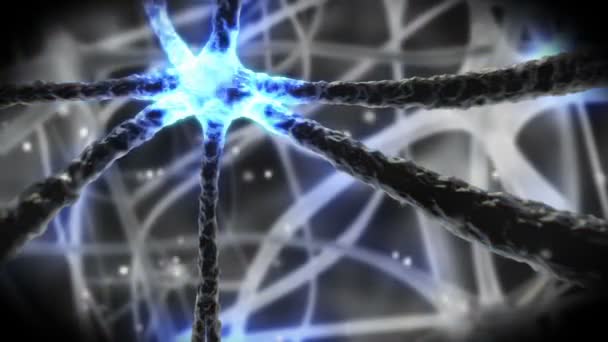 Neuron pulsing through nervous system — Stock Video