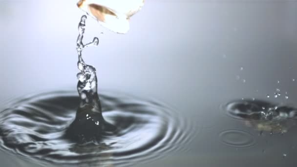 Ракушки, падающие в воду — стоковое видео