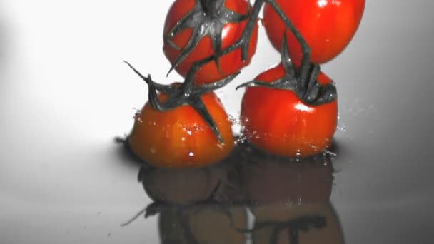 Vine tomatoes falling in water — Stock Video