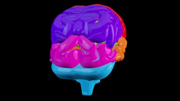 Revolving brain with highlighted sections — Stock Video