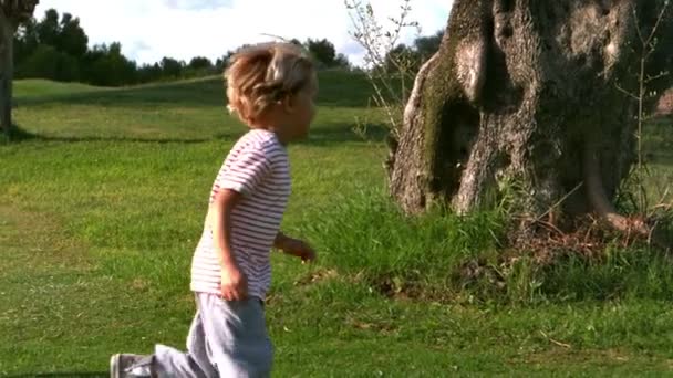 Niña corriendo detrás de un árbol grande — Vídeo de stock