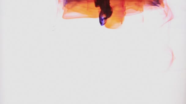 在水中旋转的橙色和紫色油墨 — 图库视频影像
