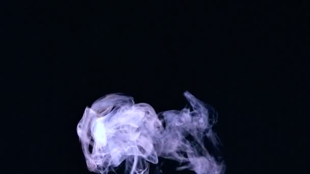 Rising puff of smoke on black background — Stock Video
