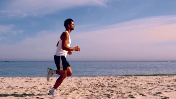 Ελκυστικά άνθρωπος που τρέχει στην παραλία — Αρχείο Βίντεο