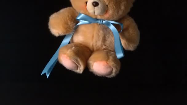 Cute teddy bear falling on black background — Stock Video