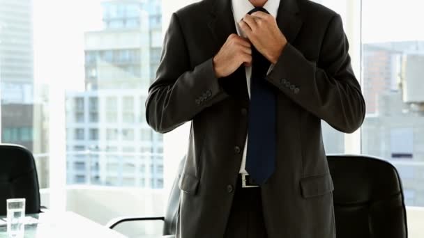 Happy businessman standing by window — Stock Video