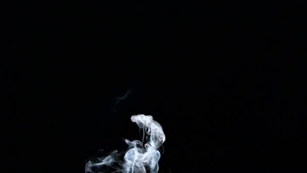 Rising white smoke on black background — Stock Video