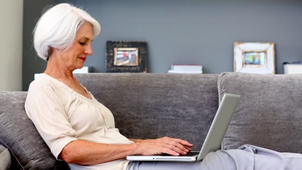 Mulher velha usando laptop no sofá — Vídeo de Stock