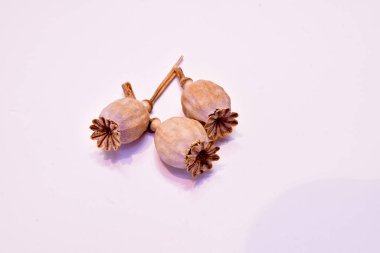 Beyaz arka planda üç tane kuru haşhaş sepeti var..