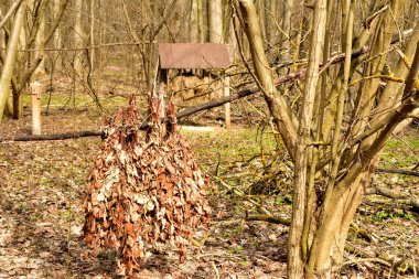 Geyik besleyicisi ve yapraklı dallar yazın vahşi hayvanları beslemek için toplanır..