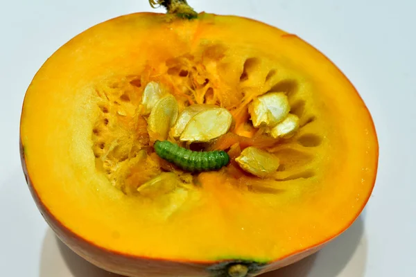 Media Calabaza Madura Con Semillas Una Oruga Verde Arrastrándose Sobre —  Fotos de Stock