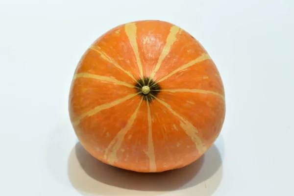 Immagine Mostra Una Zucca Matura Strisce Arancioni Tavolo Bianco — Foto Stock