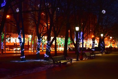 Bu resim, geceleri şehrin ağaçların tepesinde parlayan vitrinleri ve Noel ışıklarını gösteriyor..