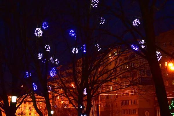 Zdjęciu Korony Drzew Ozdobione Kolorowymi Lampami Świąteczne Święta — Zdjęcie stockowe