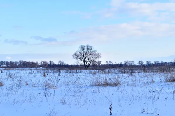 Weites Feld, bedeckt mit Schnee und trockenem Gras, das auf dem Feld zurückgelassen wurde. — Stockfoto