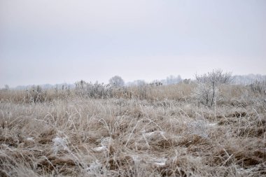 Kış. Sahada kalan kuru sarı çimenler düşen buzla kaplıydı..