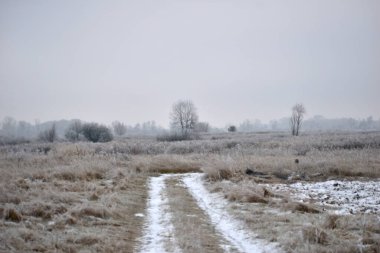 Kırsal yol ilk yağan karla kaplıdır, kalan kuru otlarla birlikte tarlaya yayılır..
