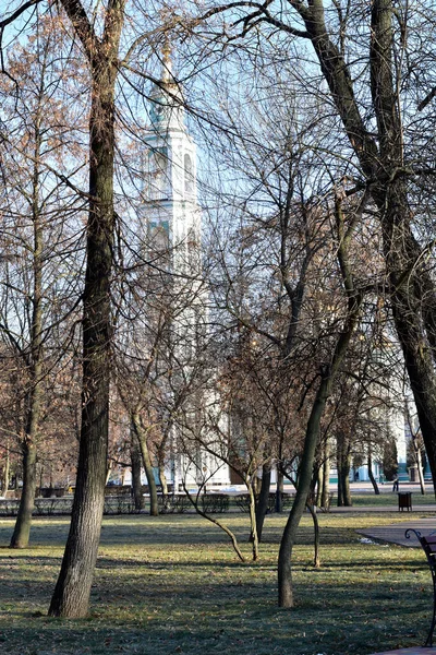 Resim Sonbaharın Sonlarında Ağaçların Dallarından Yapraksız Bir Kilisenin Görülebildiği Parkı — Stok fotoğraf