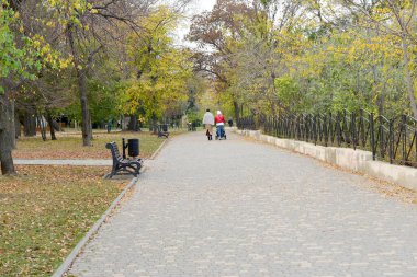 İnsanlar şehir parkının geniş yolu boyunca yürürler. Parkta dinlenmek için banklar var..
