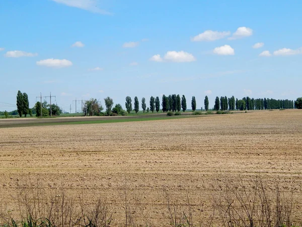 Ein Weites Feld Wurde Gepflügt Weizen Säen — Stockfoto