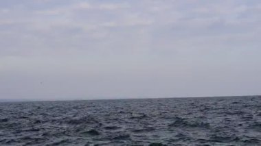 Alçak dalgalar, rüzgarın sürüklediği deniz yüzeyinde yuvarlanır..