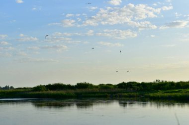 Resim, yeşil kıyısı ve mavi gökyüzü olan bir gölün pürüzsüz bir yüzeyini gösteriyor..