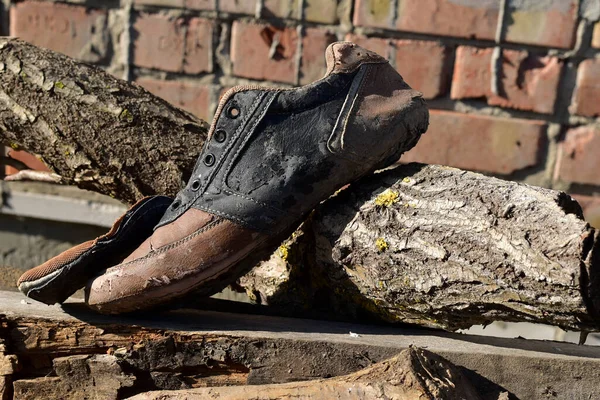 Forgotten Tattered Old Sneaker Lies Wood — Stock Photo, Image