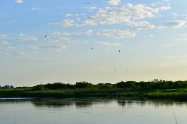 Pürüzsüz bir yüzeyi ve üzerinde kuşlar uçuşan geniş bir göl..