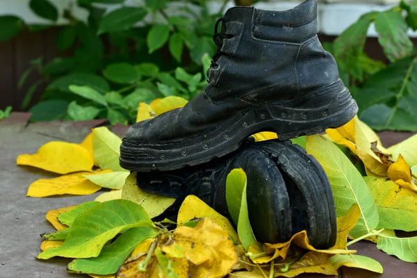 Stare podarte buty leżą na liściach. — Zdjęcie stockowe