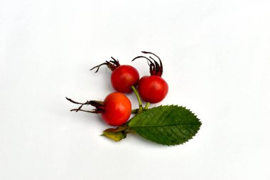 The picture shows three ripe rose hips with a green leaf on a white background.
