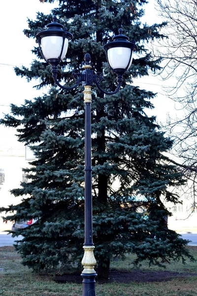 Городская лампа на фоне ели. — стоковое фото