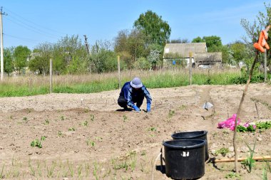 İş kıyafetleri ve şapka giymiş bir kadın bahçede çalışıyor, tohum ekiyor..