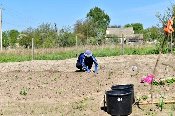 İş kıyafetleri ve şapka giymiş bir kadın bahçede çalışıyor, tohum ekiyor..