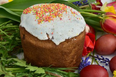 Beyaz bluzlu Paskalya pastası kırmızı lalelerde görünür..